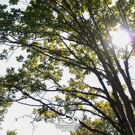 Gorske Kuce Kostunici